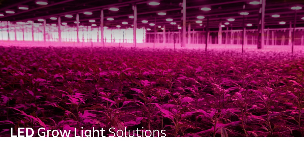 LED Grow Lights for Agriculture 